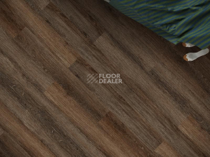 Кварцвиниловые полы Ecoclick Rich замковый 4.2мм NOX-1977 Дуб Визна фото 1 | FLOORDEALER